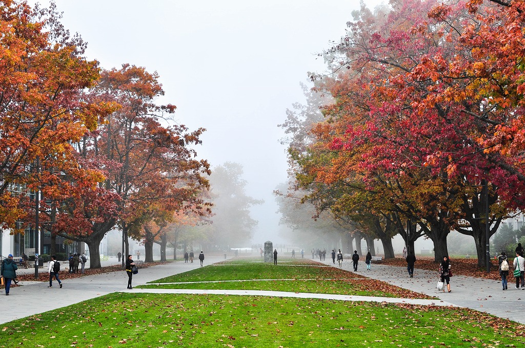 ブリティッシュコロンビア大学の霧