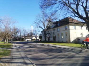 ドイツ留学するなら知っておきたい気温・気候！年間気温や湿度を知ってしっかり対策。