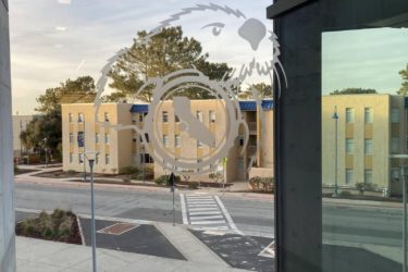 カリフォルニア州立大学モントレーベイ校（CSUMB）の特徴を留学生が伝えます！【海外大学留学レポート】