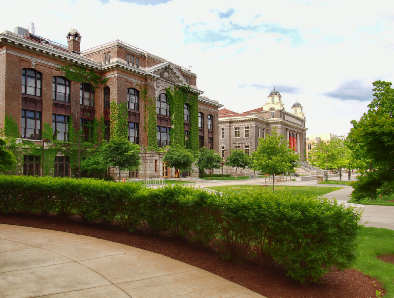 シラキュース大学